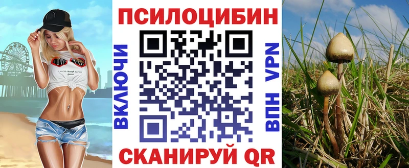 Псилоцибиновые грибы Magic Shrooms  Добрянка 