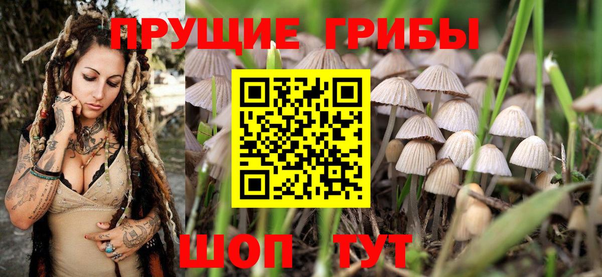 цена   Галлюциногенные грибы Magic Shrooms  Вход с VPN  Добрянка 